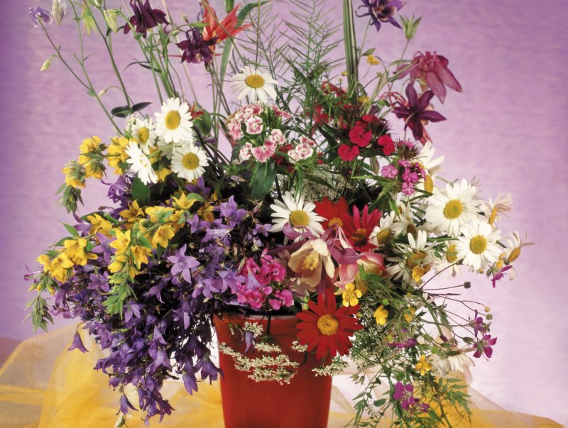 Большие букеты полевых цветов