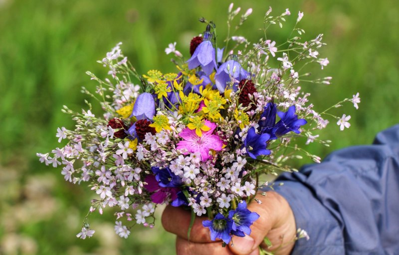 Красивый полевой букет
