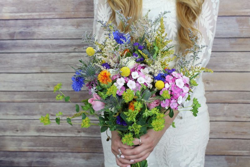 Необычные полевые цветы