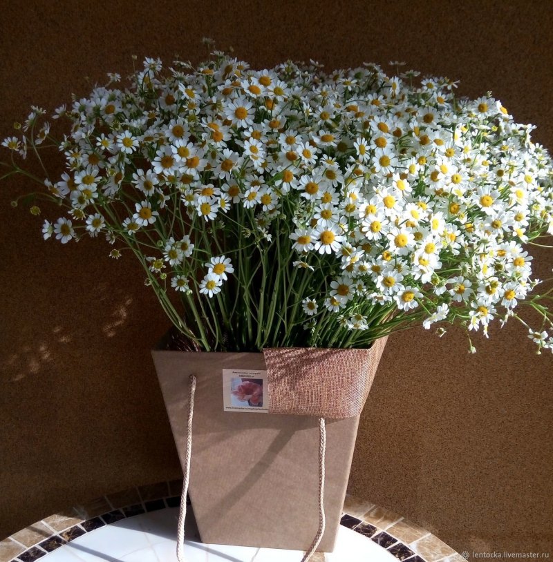 Букет ромашек