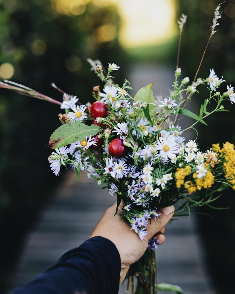 Полевой букет