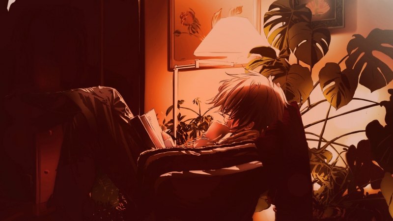 Аниме парень с книгой