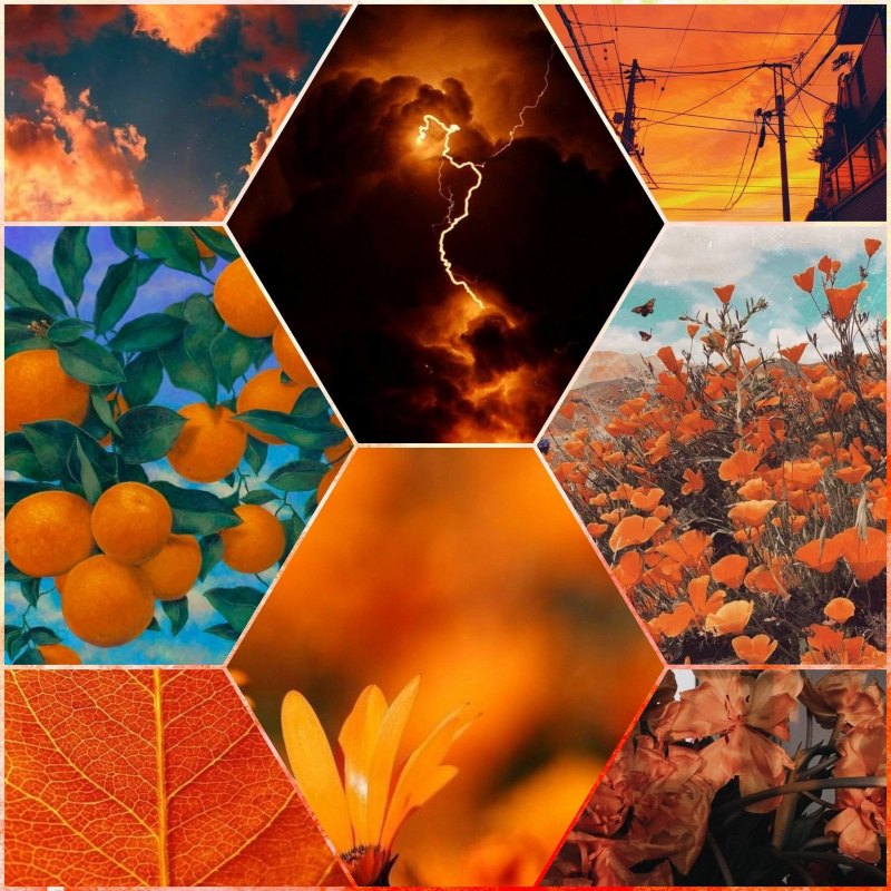 Пейтон Эстетика оранжевого