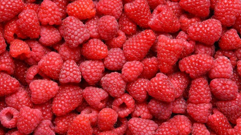 Сочная малина