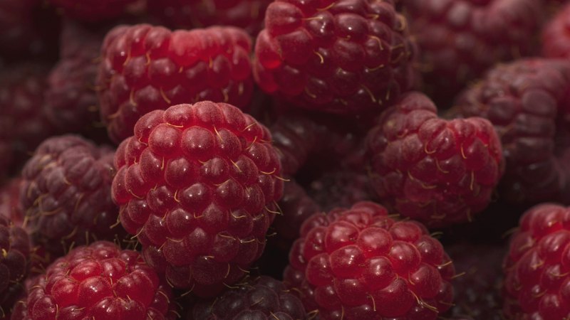 Малина красивая