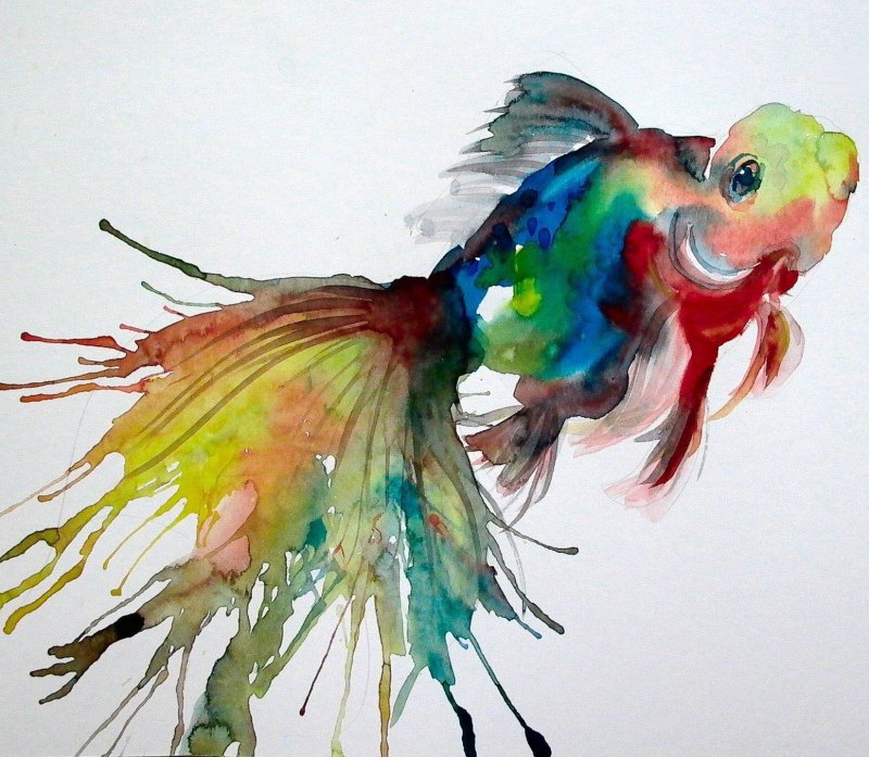 Рыбки красками
