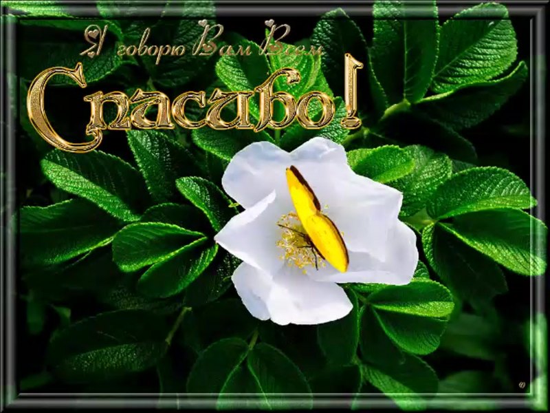 Красивые открытки с благодарностью