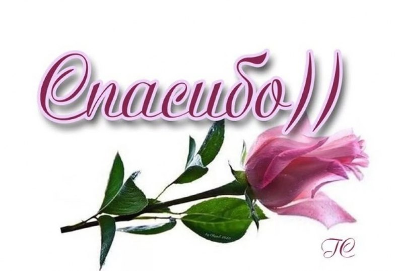 Маленькая открытка спасибо