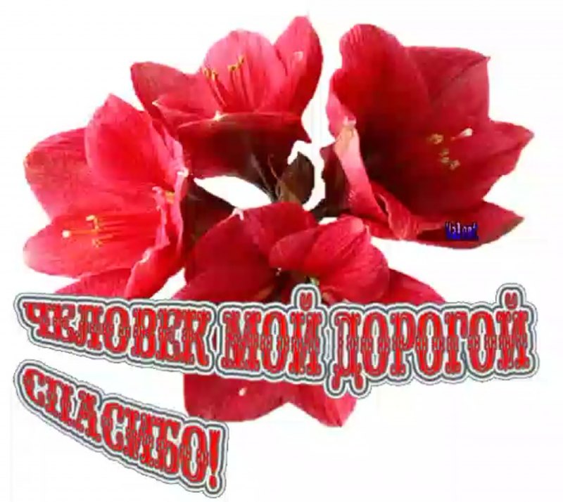 Открытки спасибо дорогая