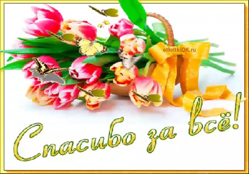 Открытки спасибо за все