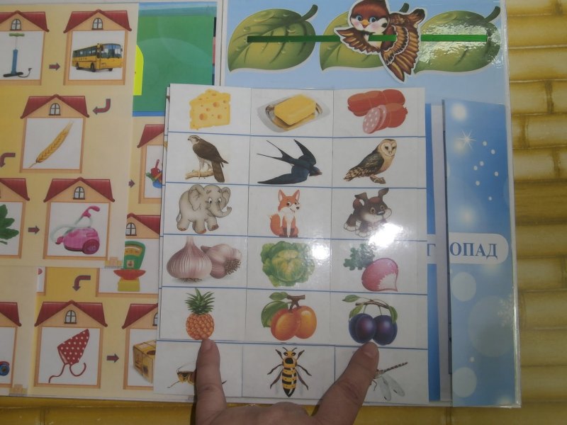 Лэпбук по развитию воображения