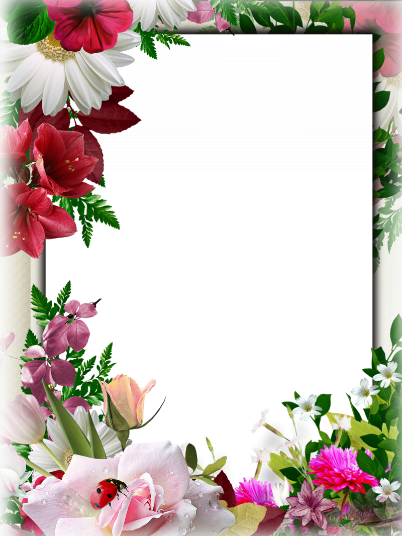 Рамка с цветами