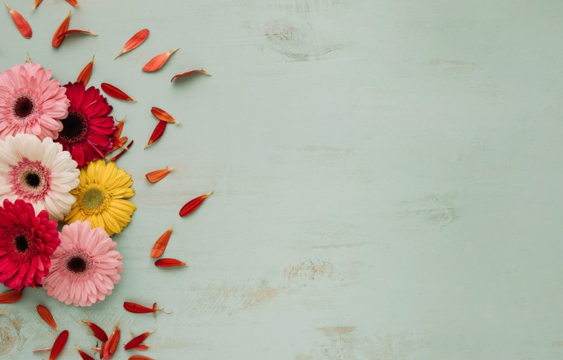 Герберы фон