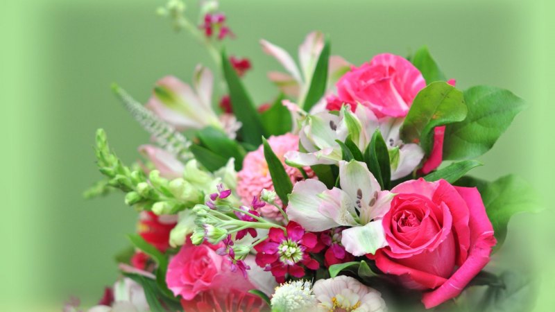 Цветы поздравительные букеты