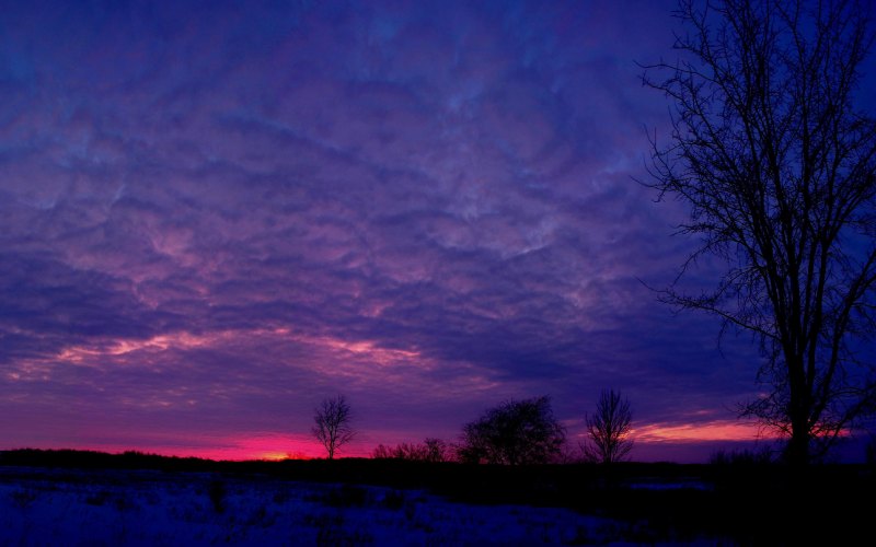 Фиолетовое небо