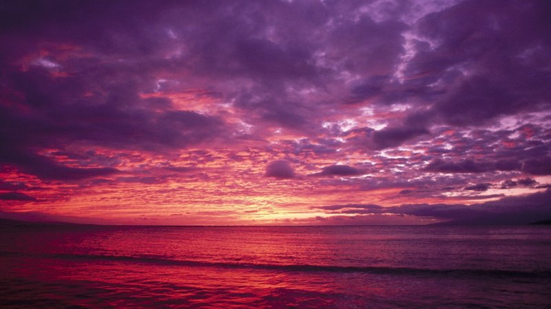 Розовый закат на море