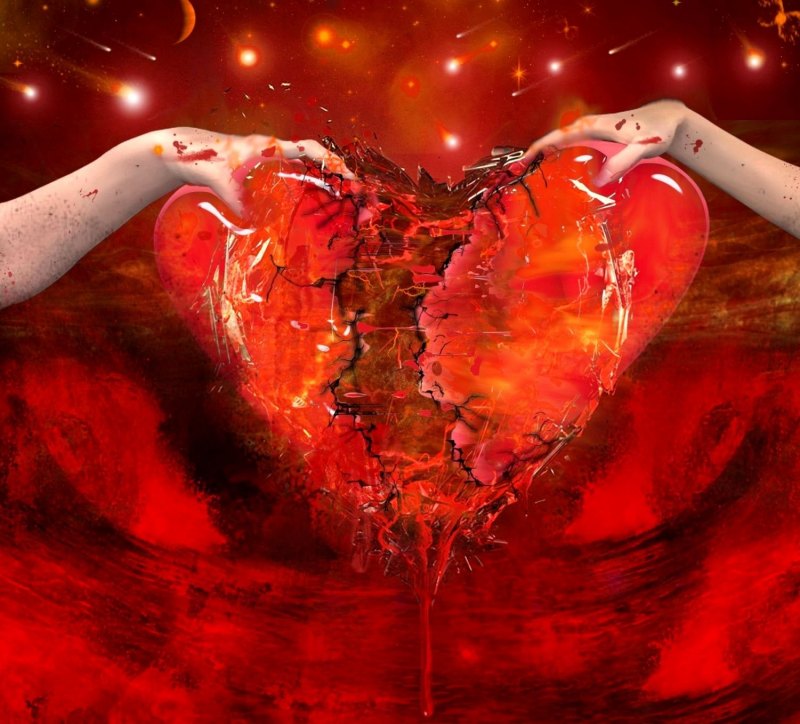 Сердце в колючей проволоке