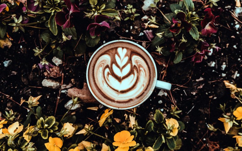 Кофе Эстетика