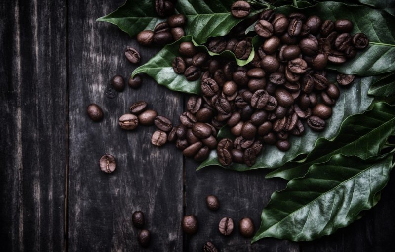 Фотофон с кофейными зернами