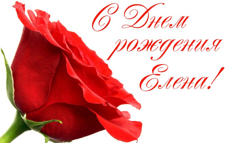 С днём рождения Елена
