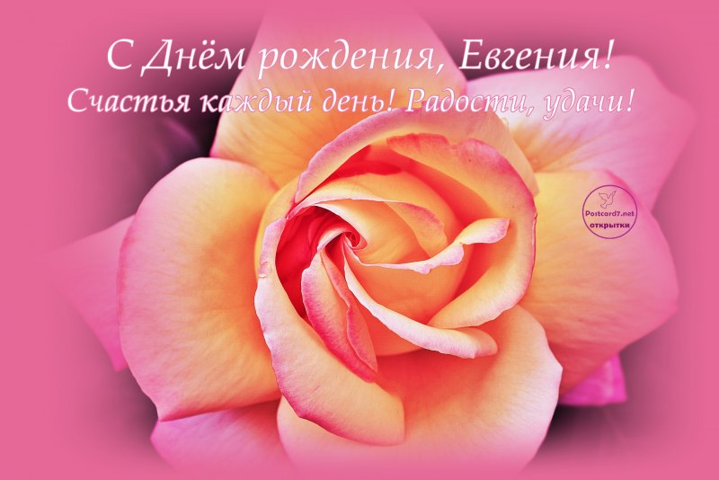 Поздравления с днём рождения Ирине