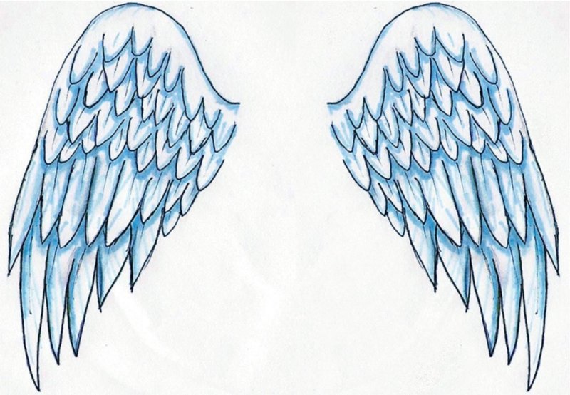 Крылья рисунок карандашом