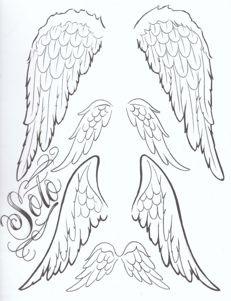 Крылья набросок
