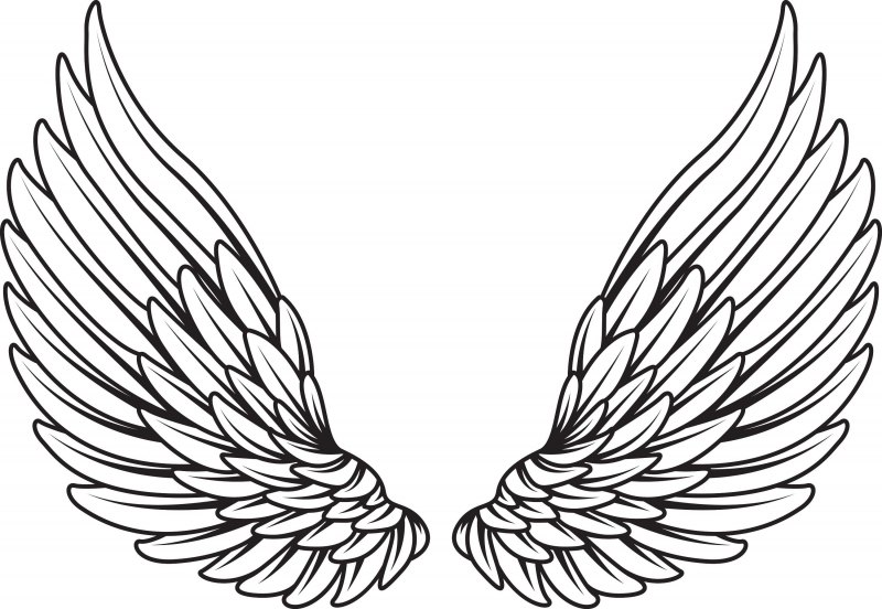 Крылья картинка для детей