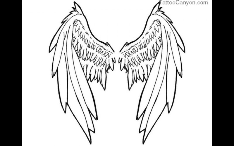 Крылья карандашом
