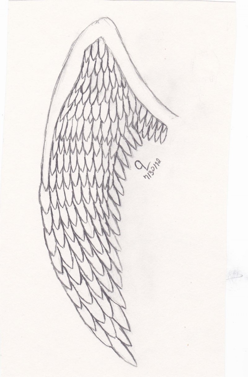 Крылья ангела карандашом