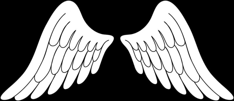 Крылья карандашом