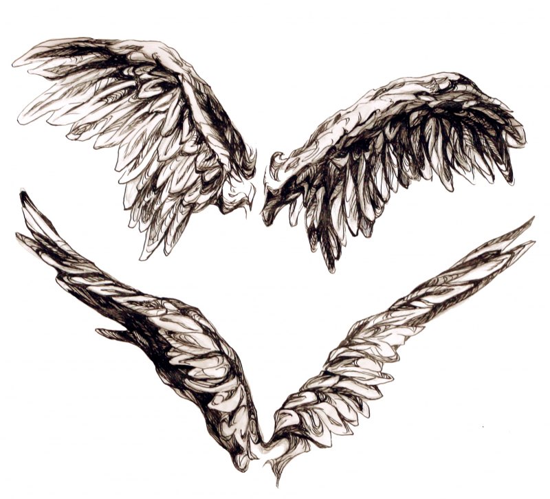 Крылья зарисовки