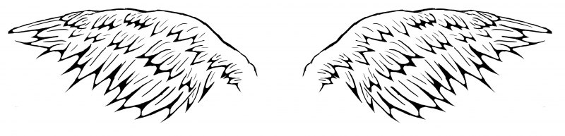 Рисунок на тему Крылья ангела