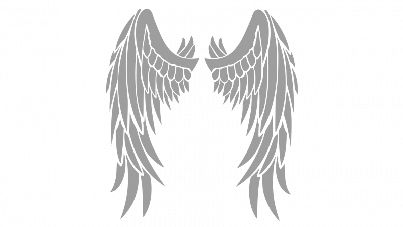 Потрепанные Крылья