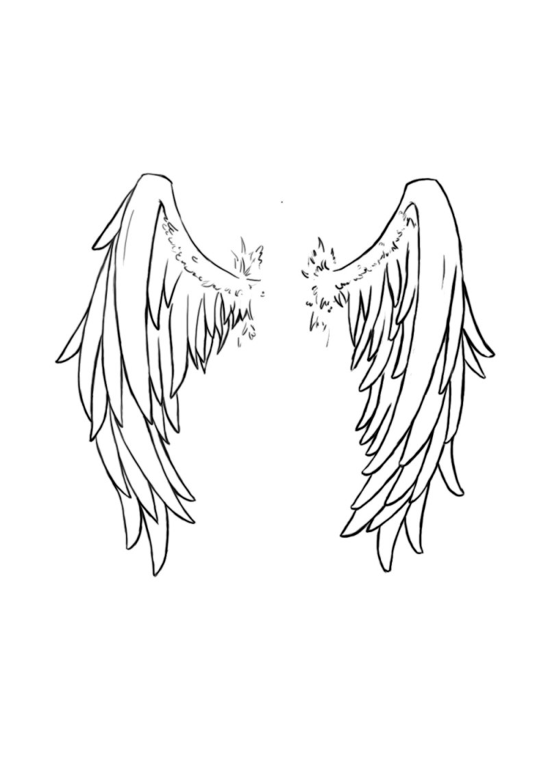 Крылья зарисовки