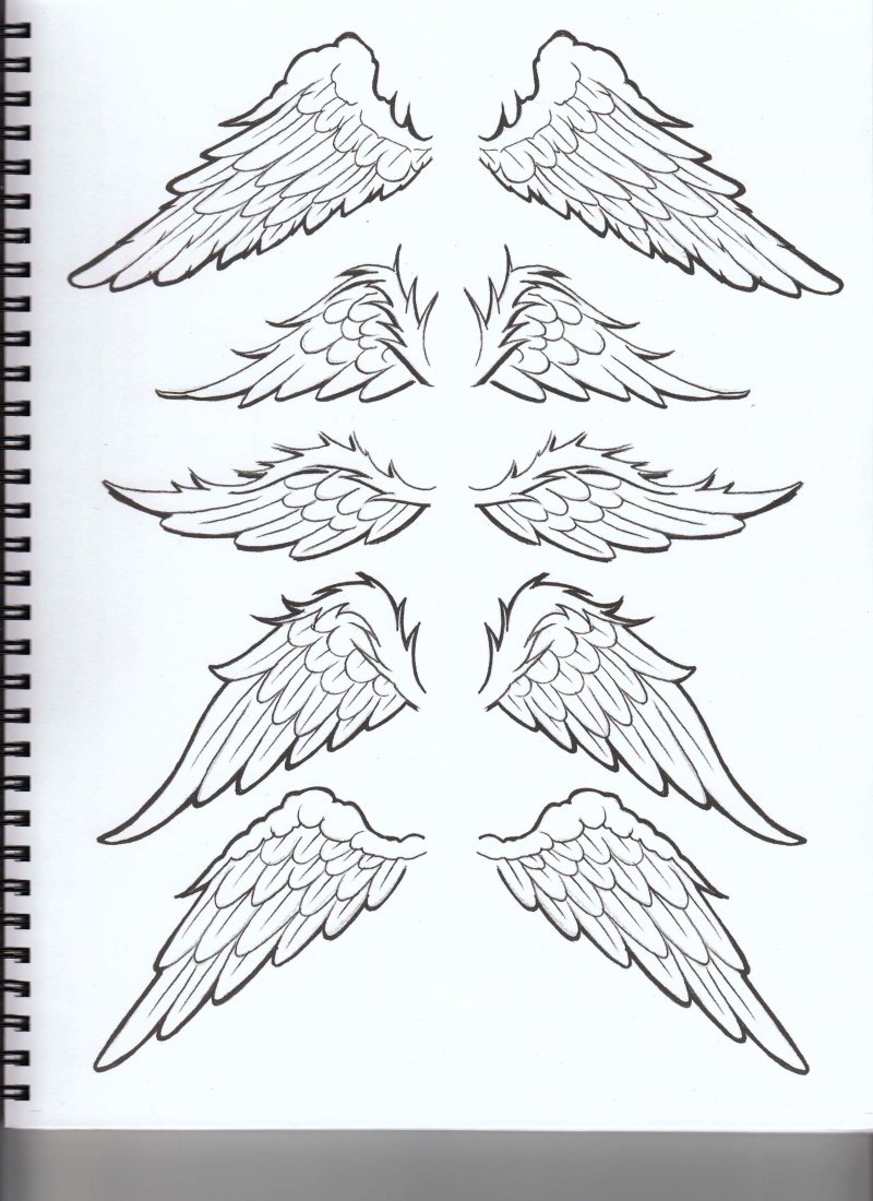 Крылья набросок