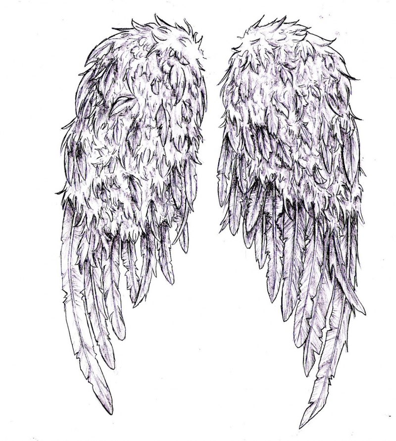 Крылья карандашом легко