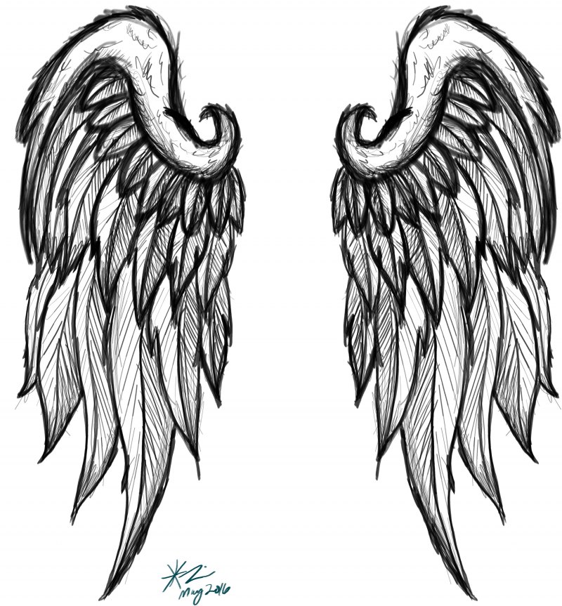 Ангельские Крылья скетч
