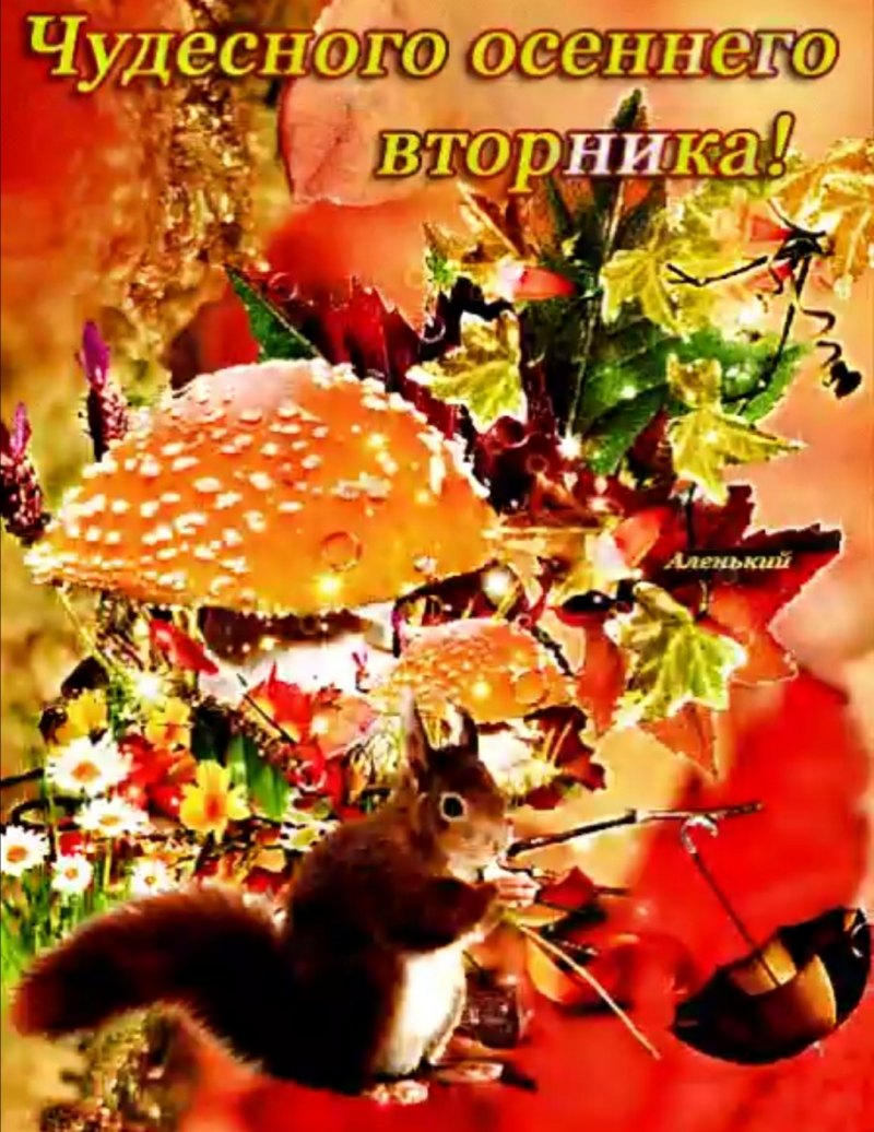 Отличного осеннего вторника