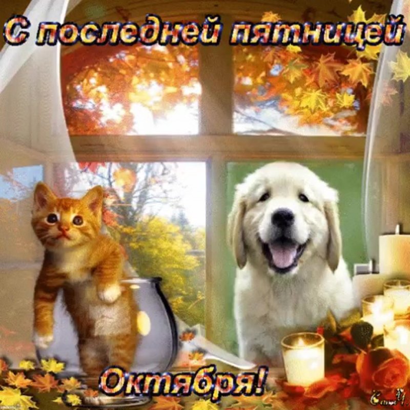 С последней пятницей октября