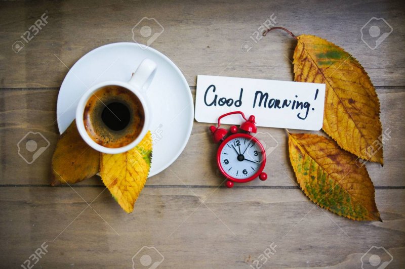 Доброго понедельника осень