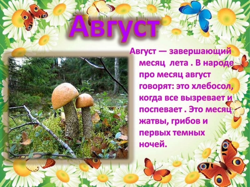 Презентация о лете