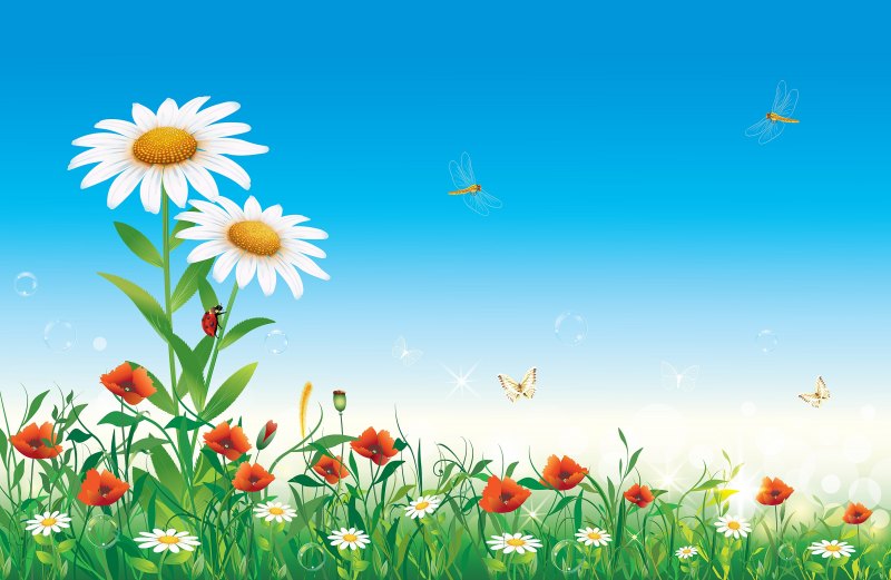 Фон для презентации лето