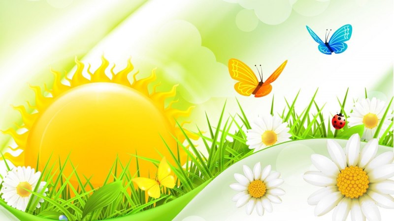 Красивый летний фон