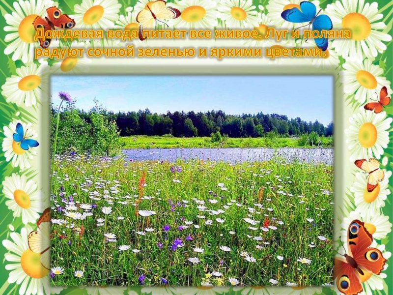 Презентация на тему лето