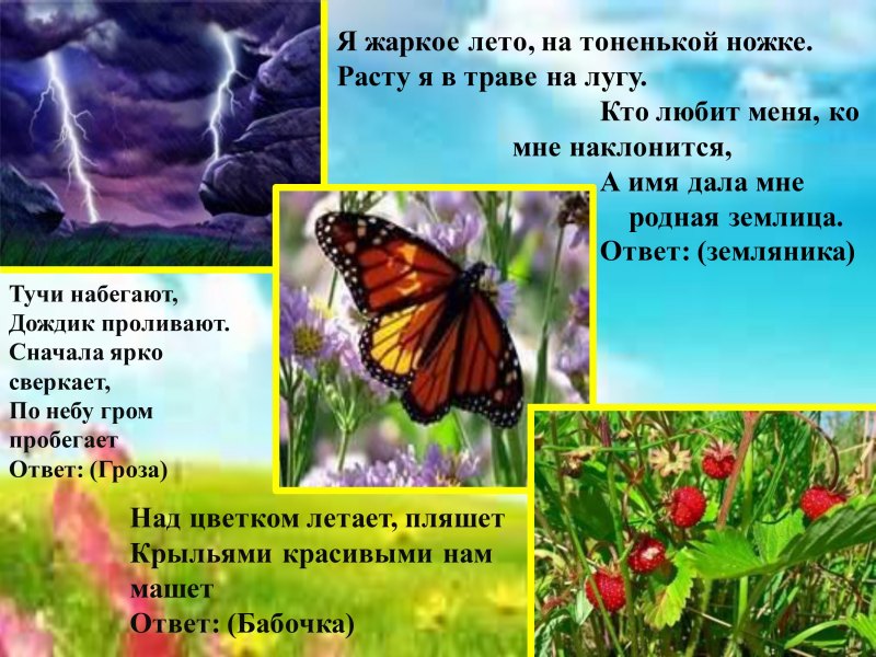 Презентация Здравствуй лето