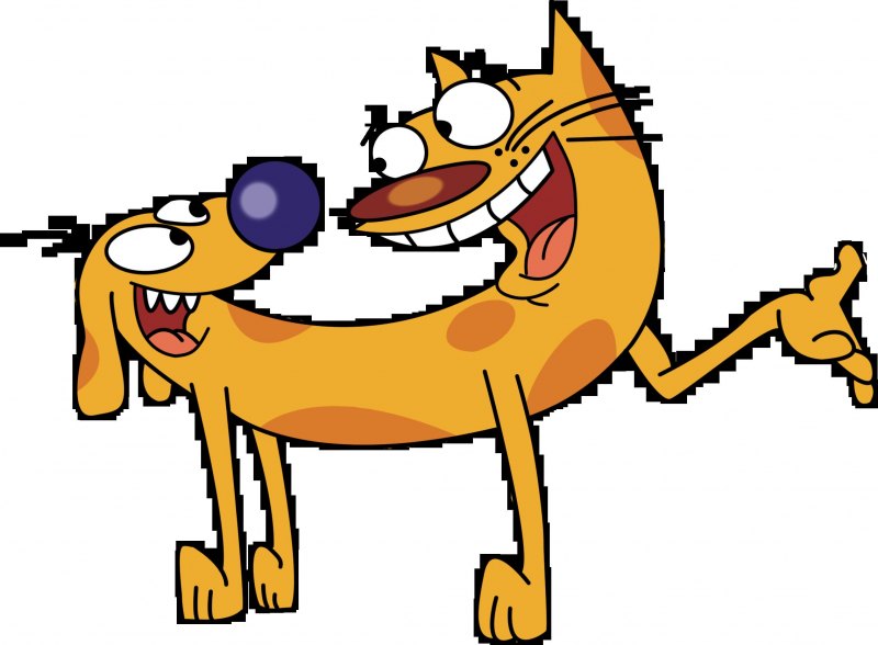 Котопес обои