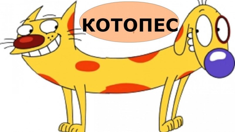 Котопес родители