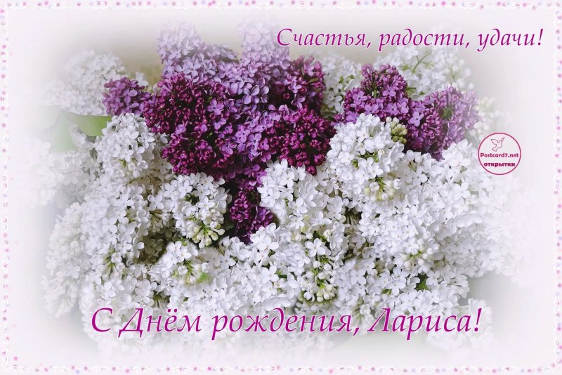 Поздравления с днём рождения Ларисе