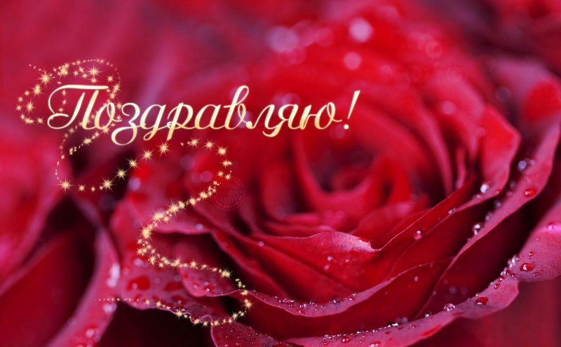 Поздравляю открытки красивые